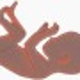 Image for article titled A highly successful attempt at genetic editing of human embryos has opened the door to eradicating inherited diseases